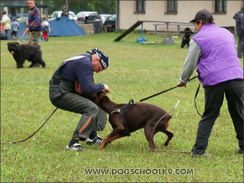 Training camp - Lukova 2007